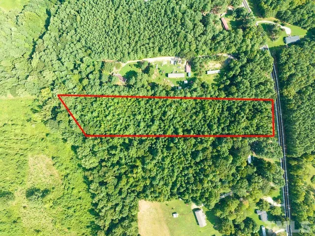 a view of a lush green forest