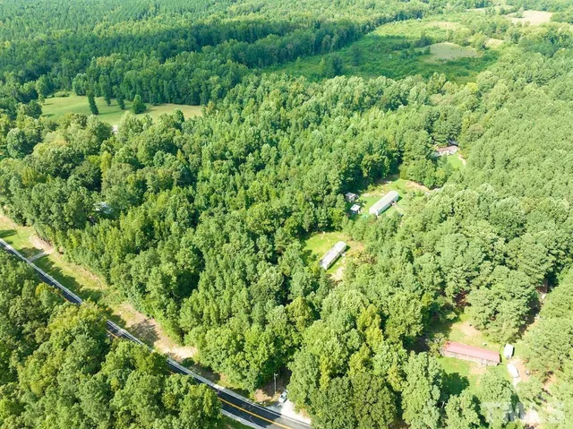 a view of a lush green forest with lots of trees