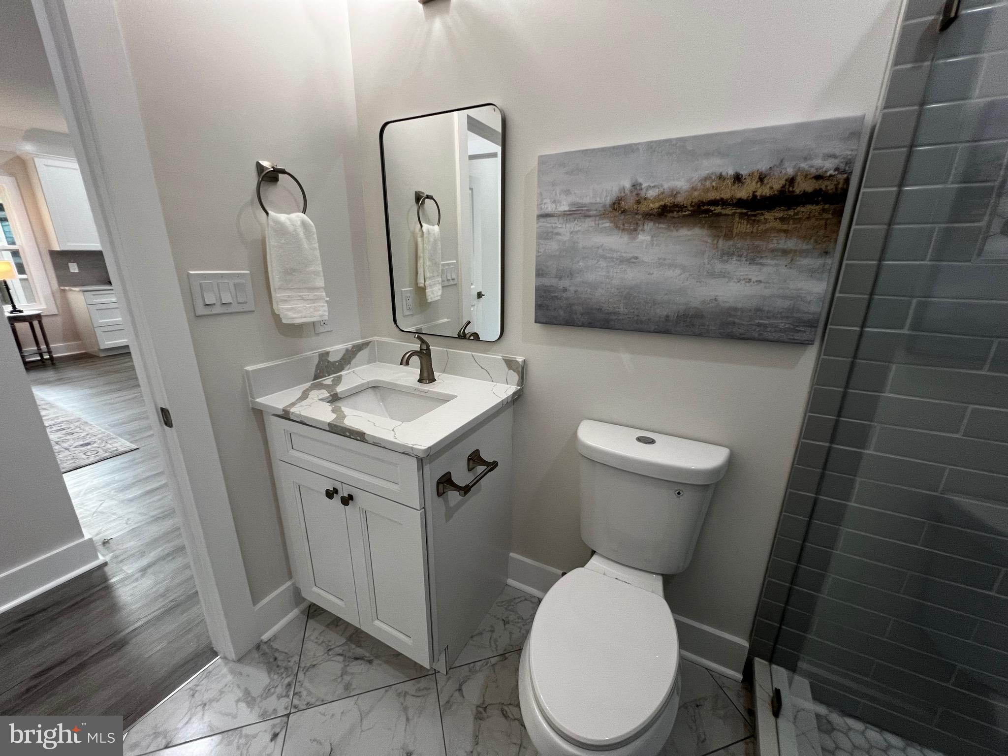 920 Brompton Street Fredericksburg, VA 22401 - Photo 42 of 112 Main Level Full Bath #1