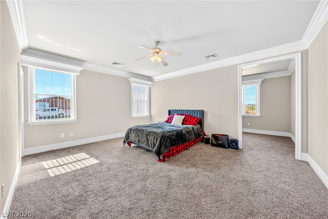 4320 Tiger Road Pahrump, NV 89048 - Photo 52 of 58
