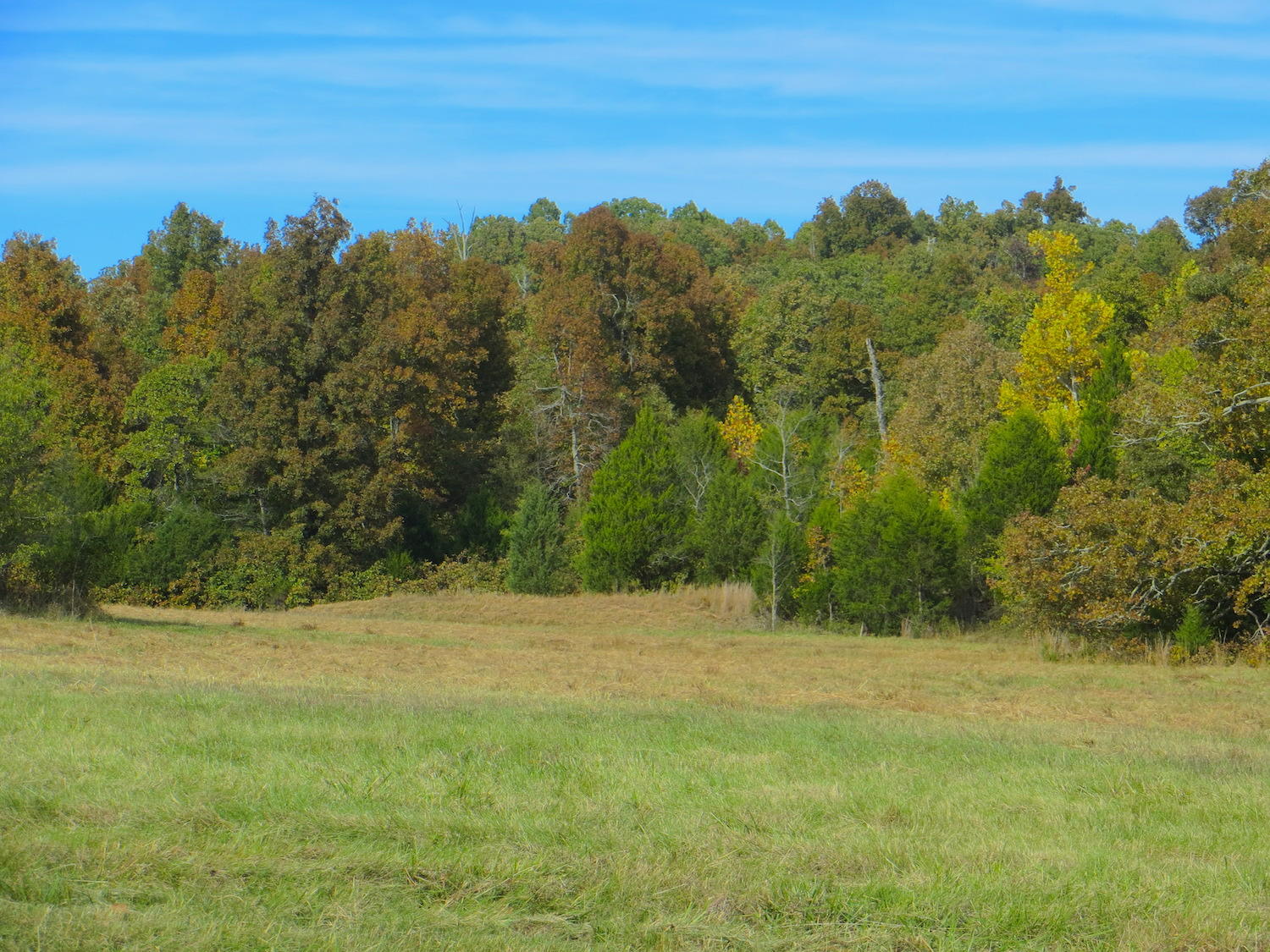 4640 French Town Road Mammoth Spring, AR 72554 - Photo 1 of 1 IMG_5808