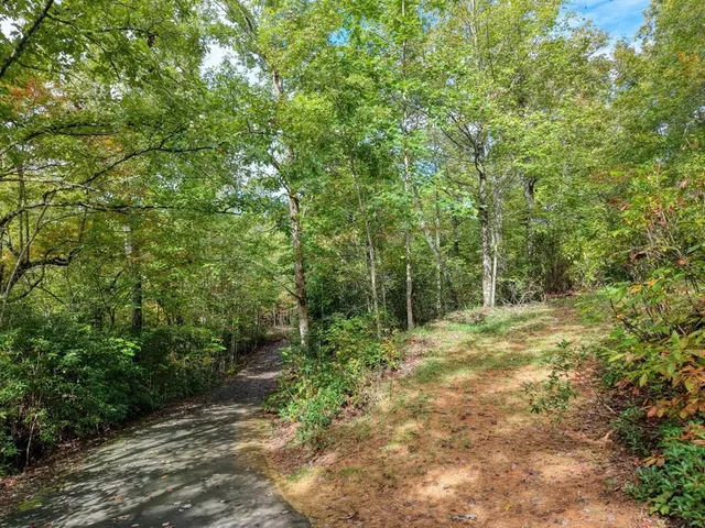 a big yard with lots of green space and trees