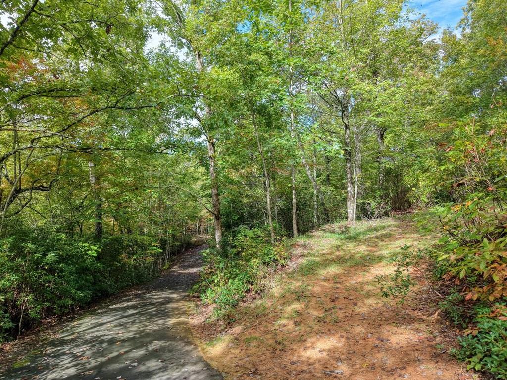 a big yard with lots of green space and trees
