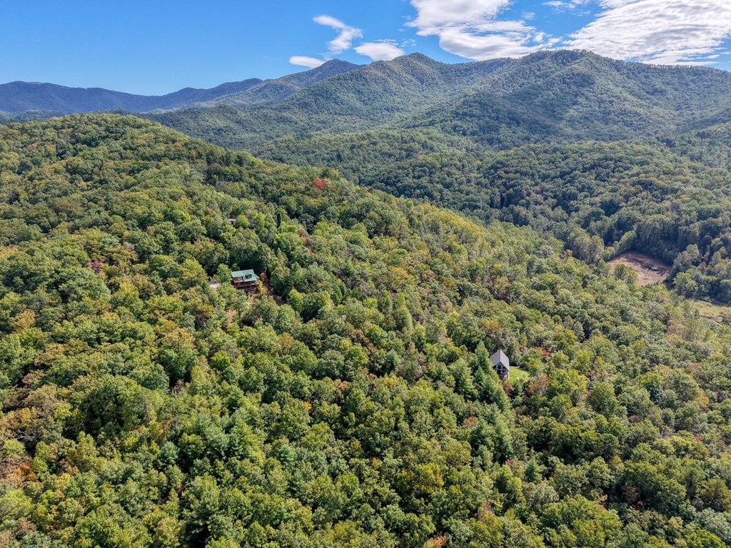 Lot 12 Smokin Ridge Hayesville, NC 28904 - Photo 11 of 20 a view of a lush green hillside and a mountain