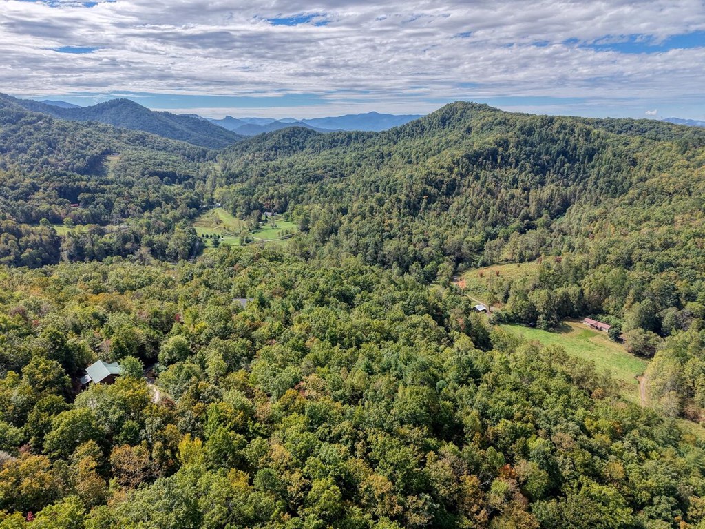 Lot 12 Smokin Ridge Hayesville, NC 28904 - Photo 13 of 20 a view of a forest with a mountain