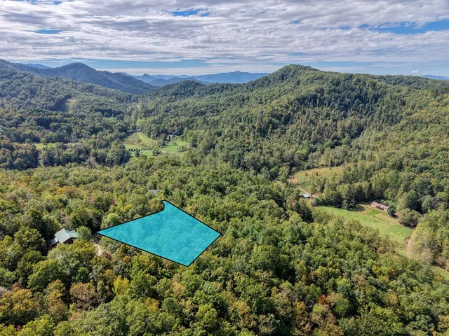 a view of a lush green field