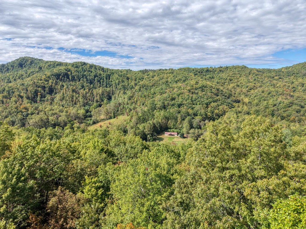 Lot 12 Smokin Ridge Hayesville, NC 28904 - Photo 15 of 20 a view of a bunch of trees and bushes