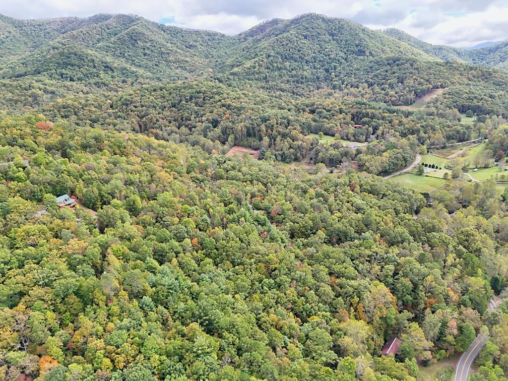Lot 12 Smokin Ridge Hayesville, NC 28904 - Photo 16 of 20 a view of a field with mountains in the background