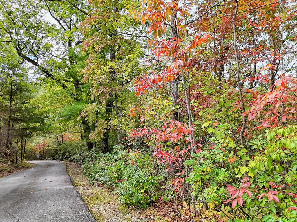 Lot 12 Smokin Ridge Hayesville, NC 28904 - Photo 18 of 20 a backyard of a house with lots of green space