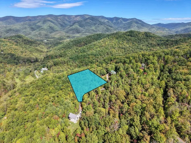 a view of a yard with a mountain