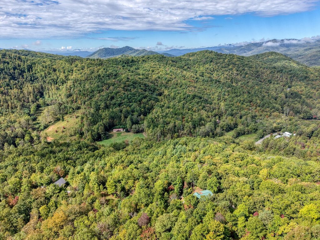 Lot 12 Smokin Ridge Hayesville, NC 28904 - Photo 5 of 20 a view of a large yard with lots of green space
