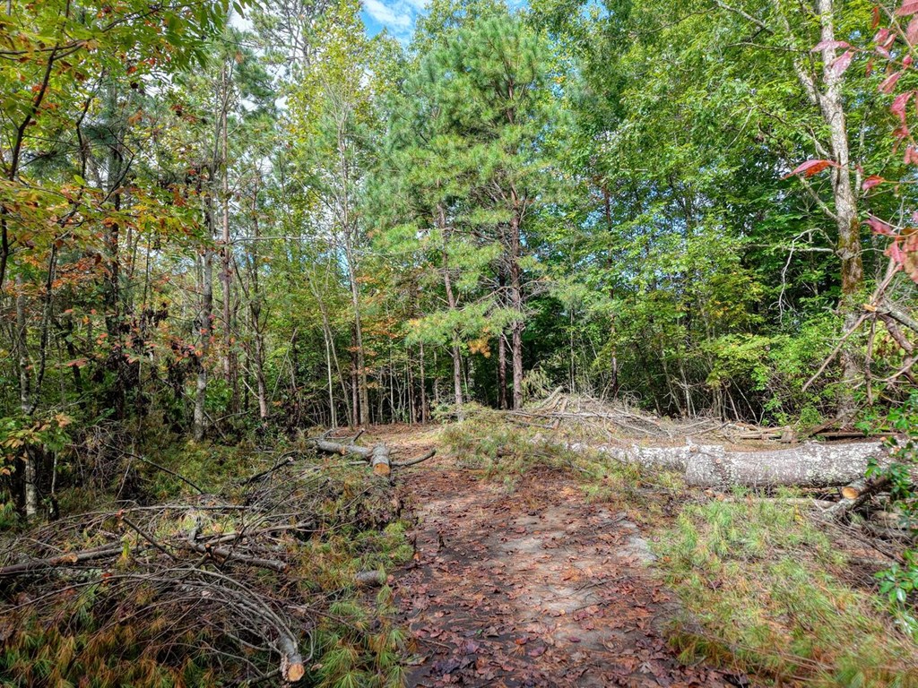 Lot 12 Smokin Ridge Hayesville, NC 28904 - Photo 6 of 20 a view of outdoor space with trees