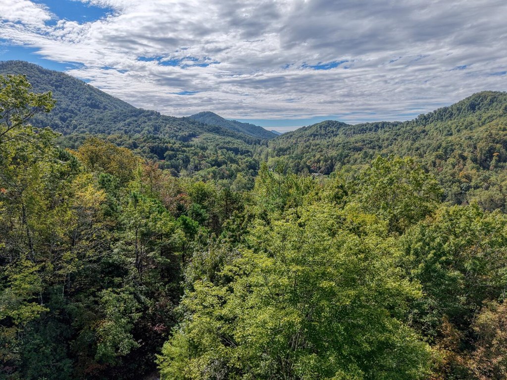Lot 12 Smokin Ridge Hayesville, NC 28904 - Photo 7 of 20 a view of a lots of trees