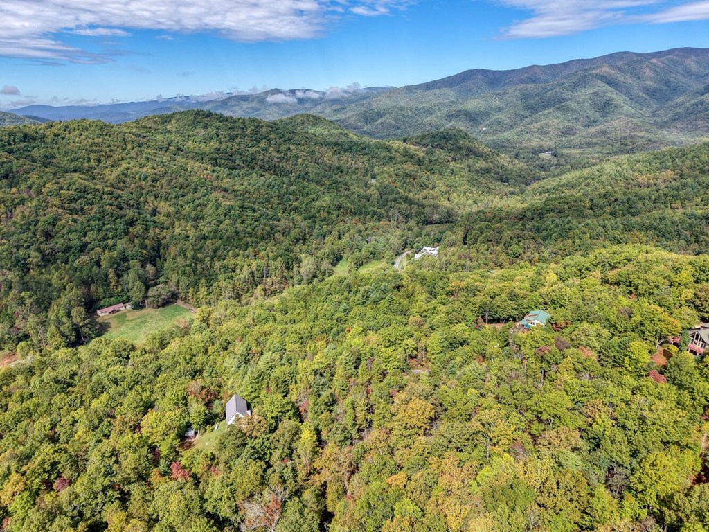 Lot 12 Smokin Ridge Hayesville, NC 28904 - Photo 8 of 20 a view of a lush green field with a mountain in the background