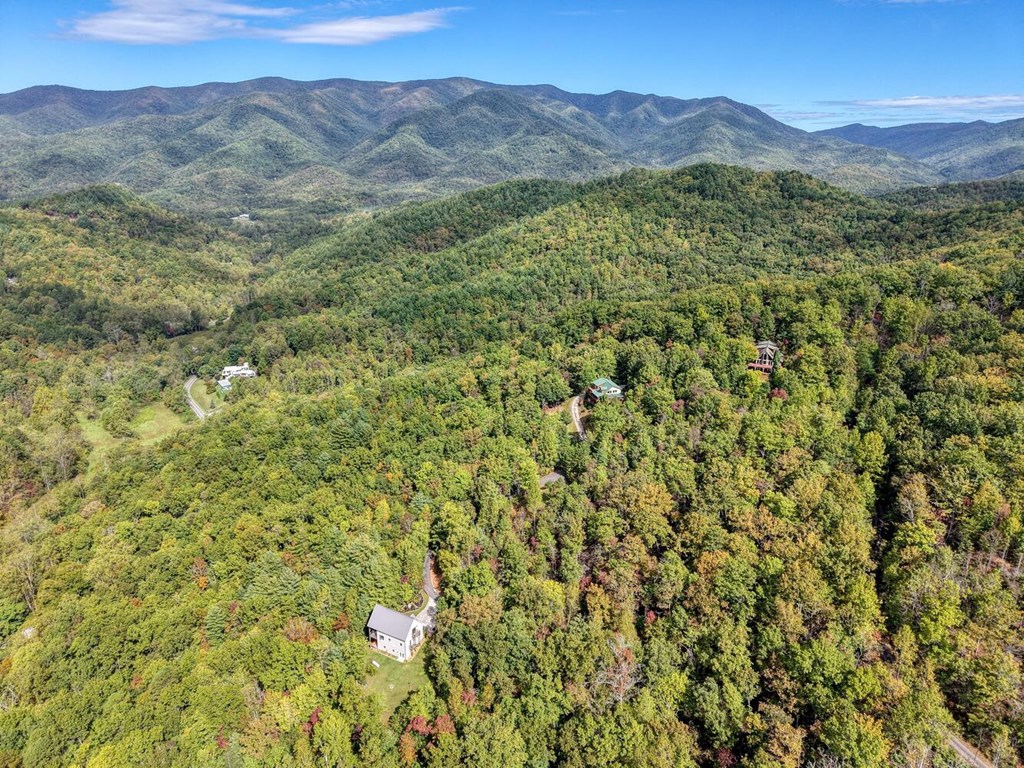 Lot 12 Smokin Ridge Hayesville, NC 28904 - Photo 9 of 20 a view of a lush green hillside and a houses