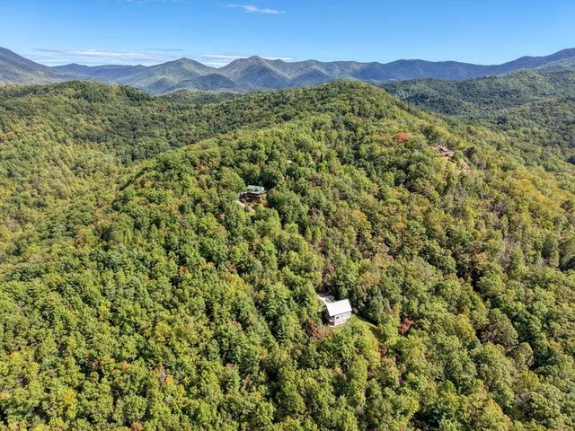 a view of a lush green hillside and a houses