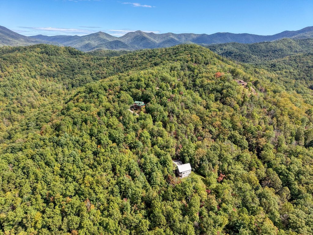 Lot 12 Smokin Ridge Hayesville, NC 28904 - Photo 10 of 20 a view of a lush green hillside and a houses