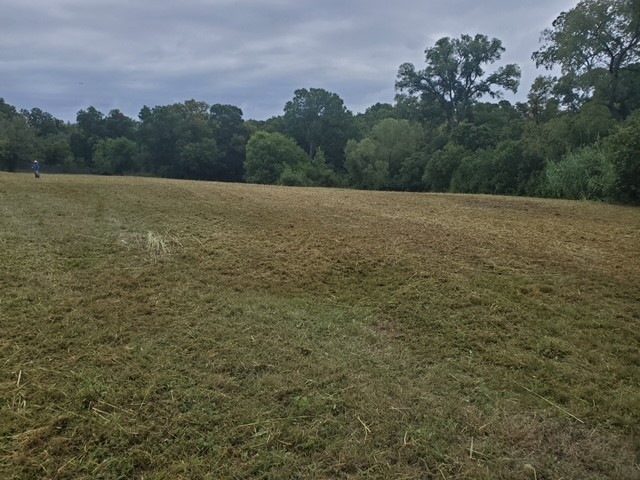 8717 Springdale Road Austin, TX 78754 - Photo 1 of 1