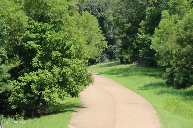 $120,000 | 91 Moonlight Hollow, Flora, MS 39071