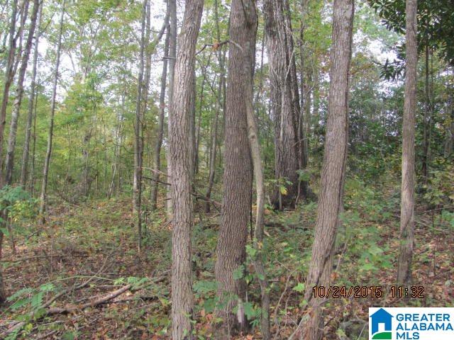 0 Lake Tate Road, Unit 38 Sylacauga, AL 35151 - Photo 7 of 11