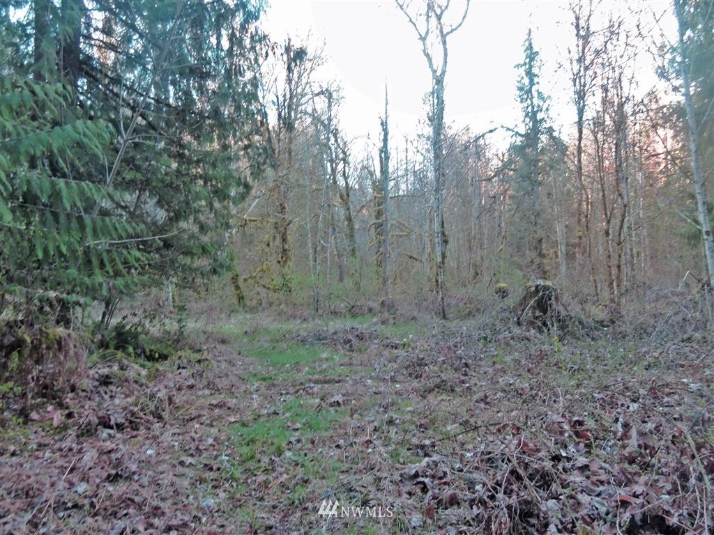0 Skinner Road Randle, WA 98377 - Photo 1 of 10 Gallery Image 1