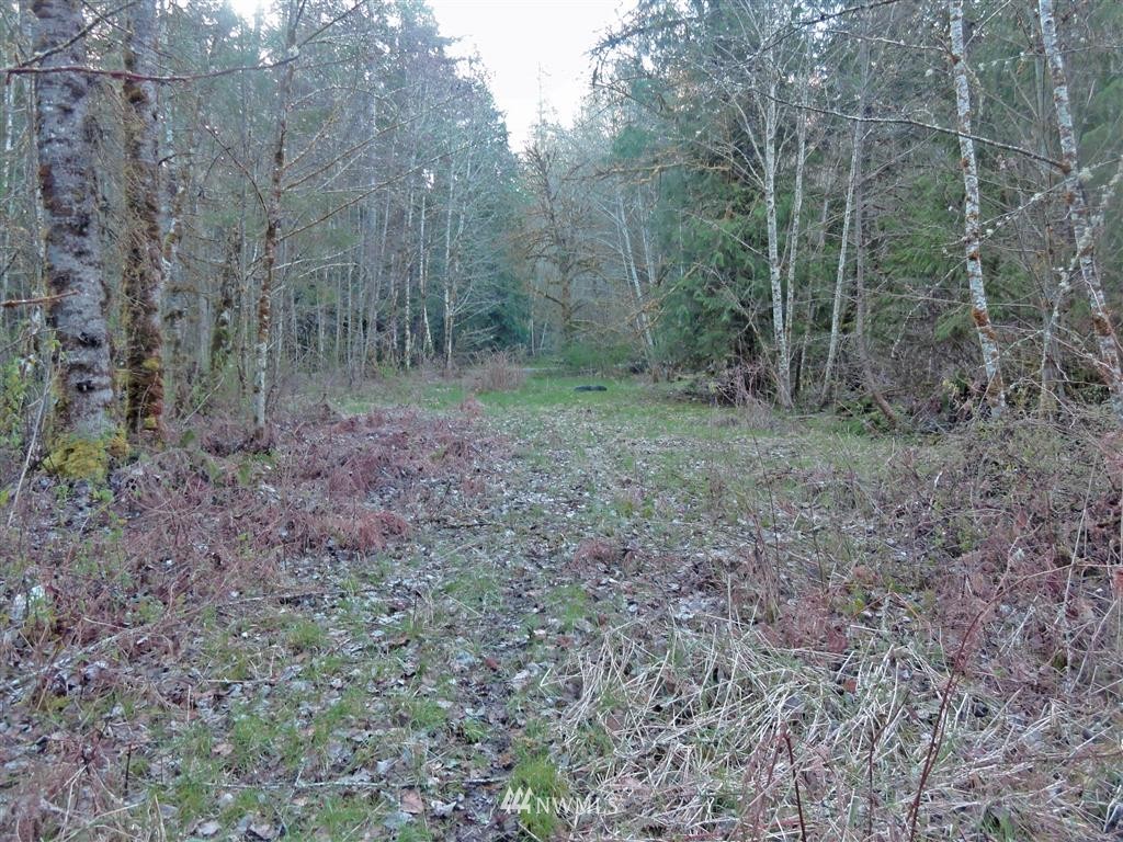 0 Skinner Road Randle, WA 98377 - Photo 2 of 10 Gallery Image 2