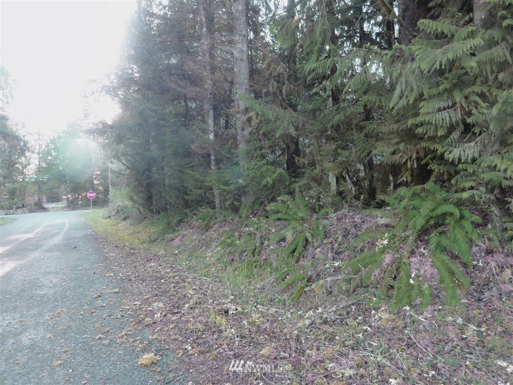 0 Skinner Road Randle, WA 98377 - Photo 3 of 10 Gallery Image 3