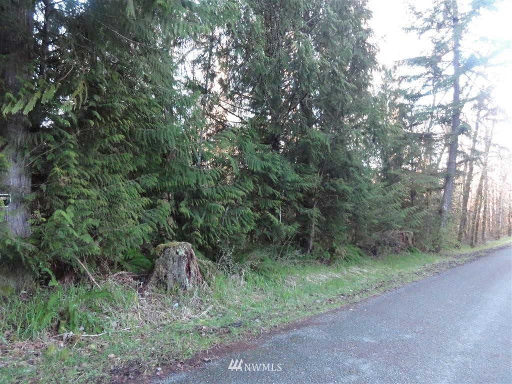 0 Skinner Road Randle, WA 98377 - Photo 4 of 10 Gallery Image 4
