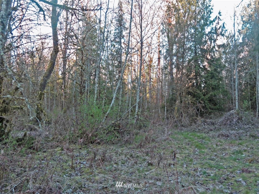 0 Skinner Road Randle, WA 98377 - Photo 6 of 10 Gallery Image 6
