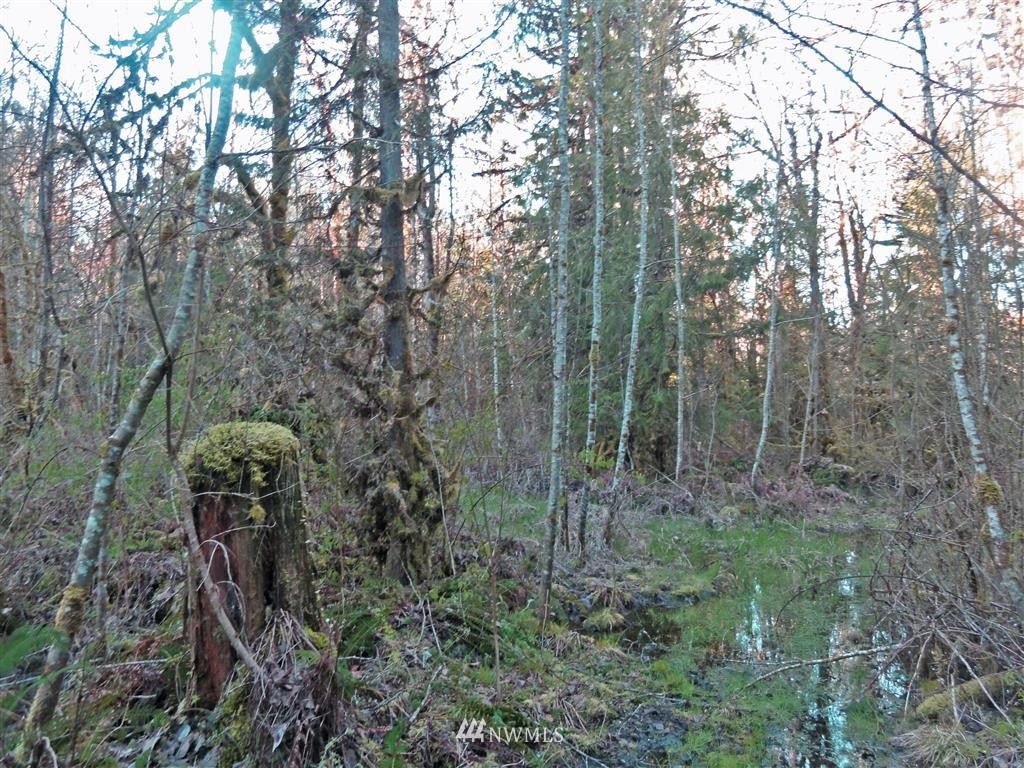 0 Skinner Road Randle, WA 98377 - Photo 8 of 10 Gallery Image 8