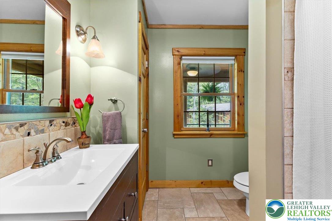 207 West Douglasville Road Nazareth, PA 18064 - Photo 62 of 73 a bathroom with a sink vanity mirror and toilet