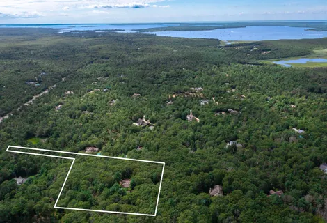 a view of a yard with a mountain