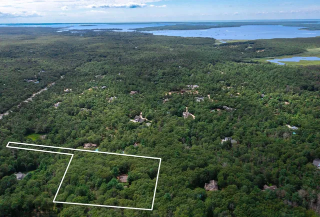 a view of a yard with a mountain