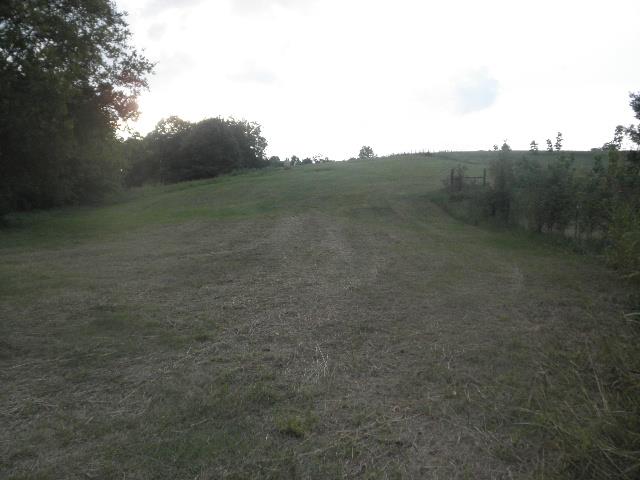239 Oliver Smith Road Flintville, TN 37335 - Photo 2 of 5
