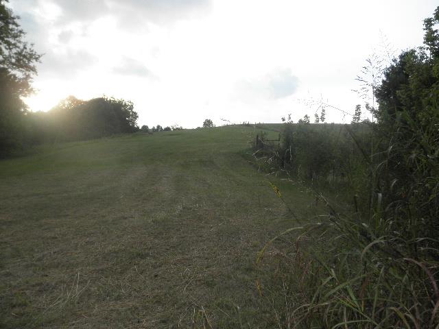 239 Oliver Smith Road Flintville, TN 37335 - Photo 3 of 5