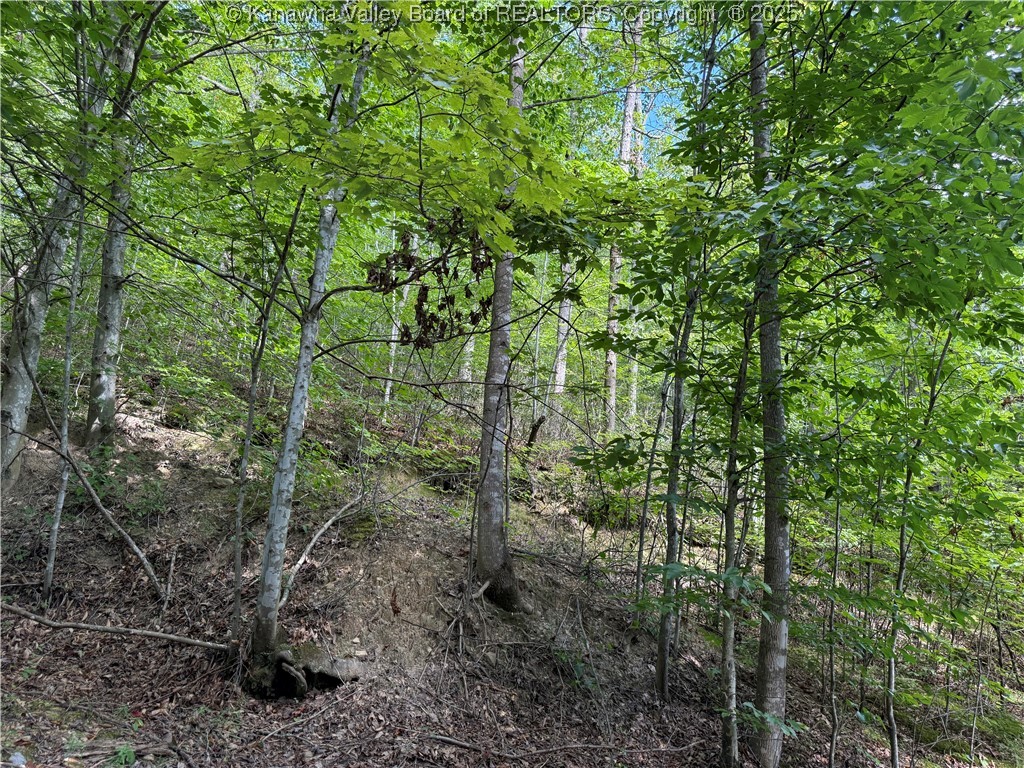 64 Upton Creek Road Spurlockville, WV 25565 - Photo 15 of 29 Gallery Image 15