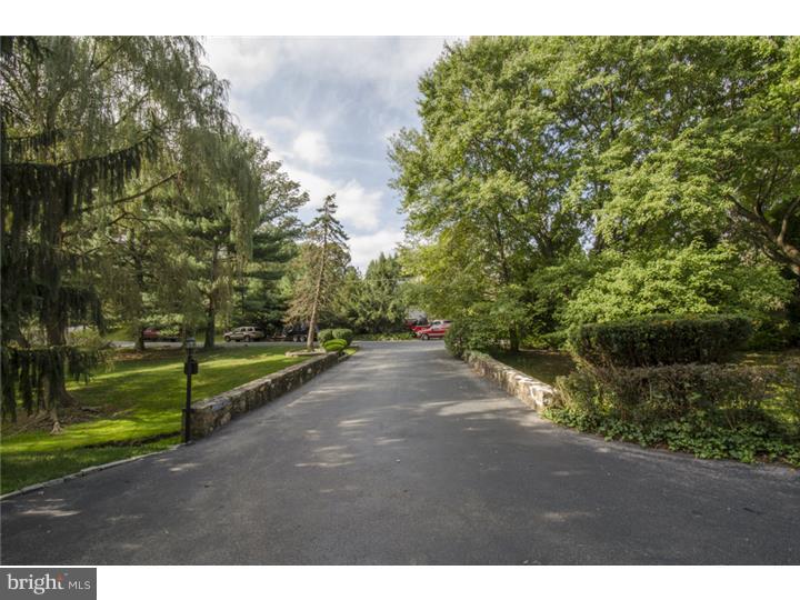 804 Harvey Road Wallingford, PA 19086 - Photo 22 of 24 Driveway