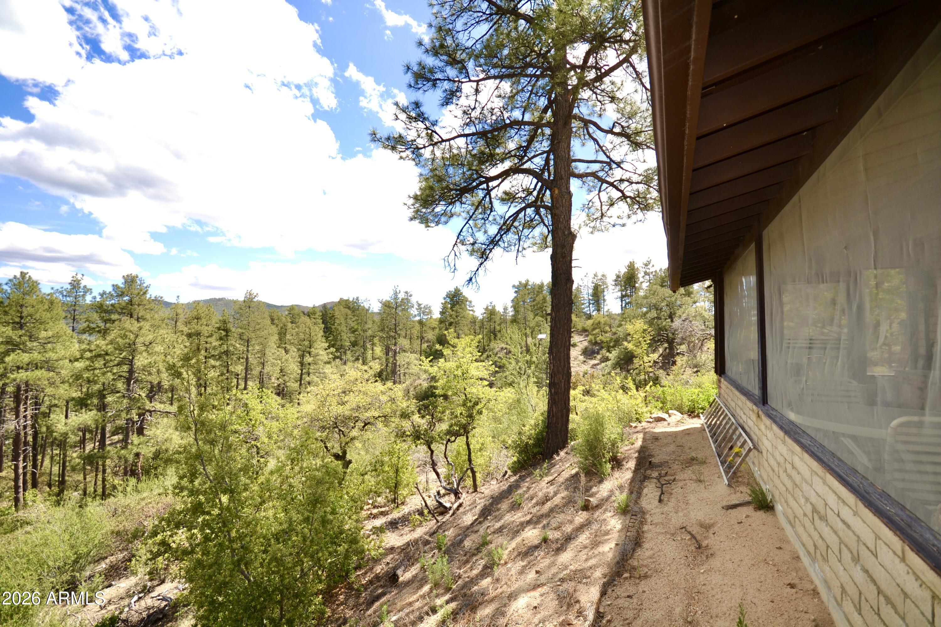 23617 South Demascus Road Crown King, AZ 86343 - Photo 35 of 50
