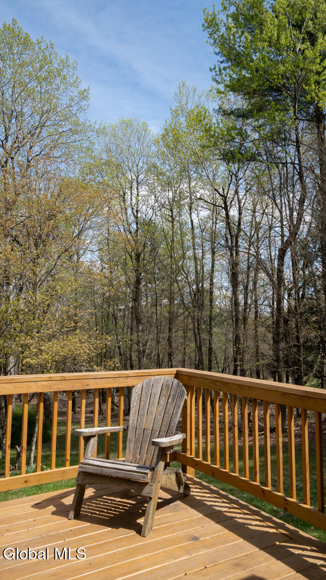 300 Josh Hall Pond Road Petersburgh, NY 12138 - Photo 20 of 29 DSC09289