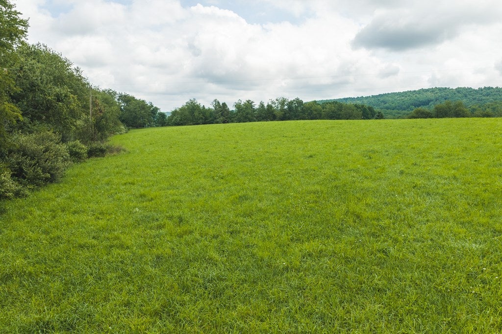 Lot 1 Ridgeview Road Northwest Floyd, VA 24091 - Photo 19 of 26 Gallery Image 19