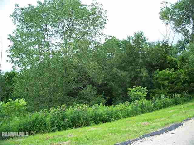 29 High Ridge Run Galena, IL 61036 - Photo 1 of 7 Gallery Image 1
