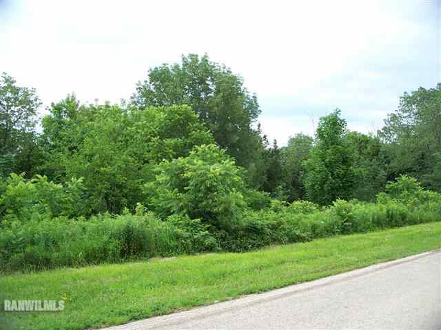29 High Ridge Run Galena, IL 61036 - Photo 4 of 7 Gallery Image 4