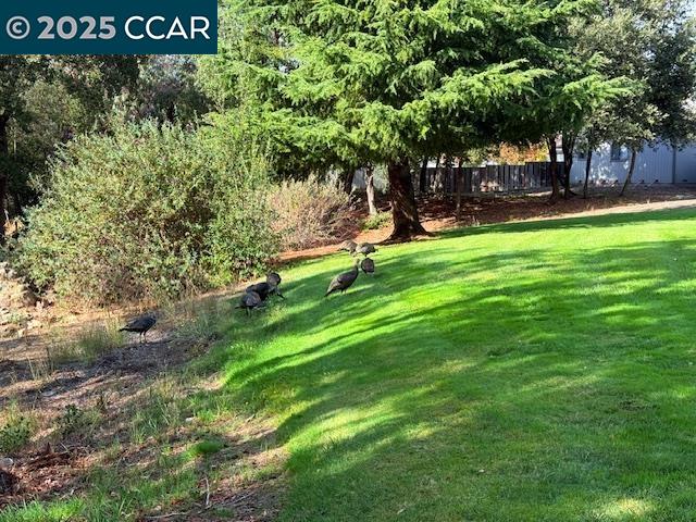 10 Tarn Court Hercules, CA 94547 - Photo 7 of 21 a view of park