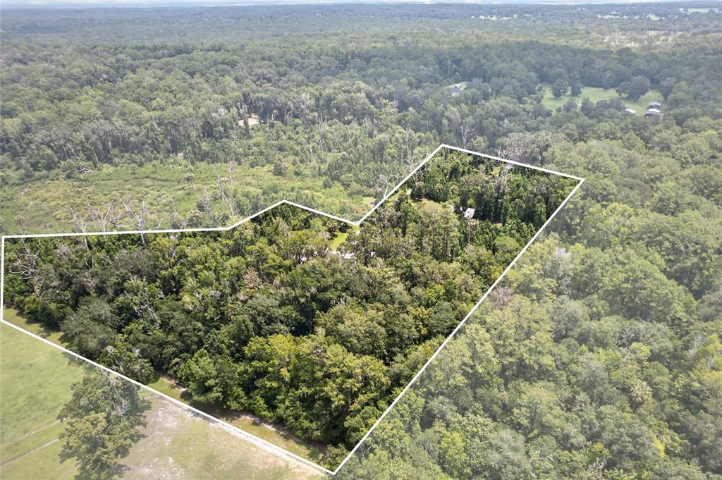 19040 Northwest 88th Avenue Road Reddick, FL 32686 - Photo 67 of 69 Gallery Image 67