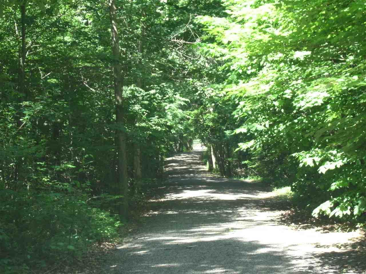 0 North Wilder Road Lapeer, MI 48446 - Photo 4 of 12