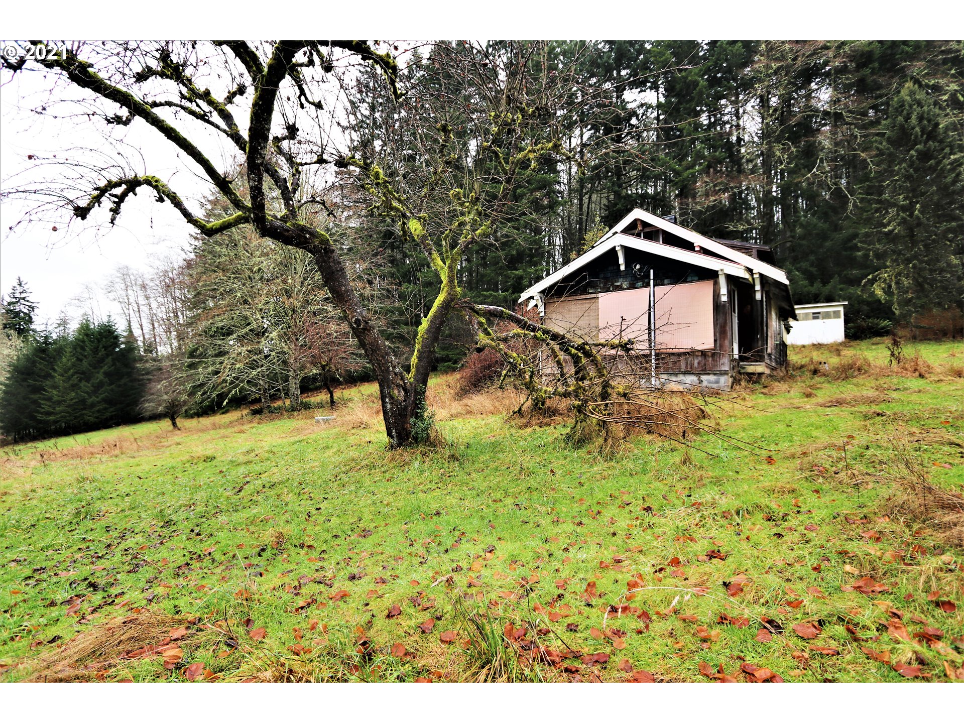71925 Lentz Road Rainier, OR 97048 - Photo 2 of 29 Gallery Image 2