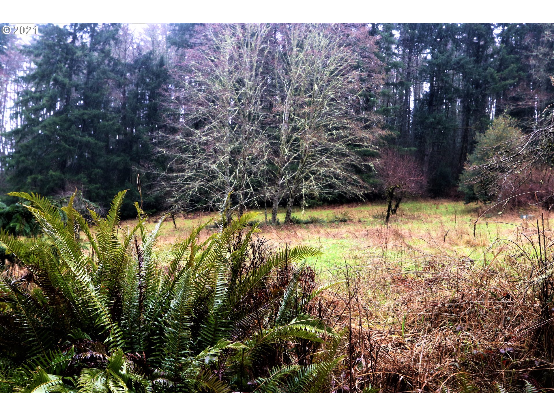 71925 Lentz Road Rainier, OR 97048 - Photo 19 of 29 Gallery Image 19