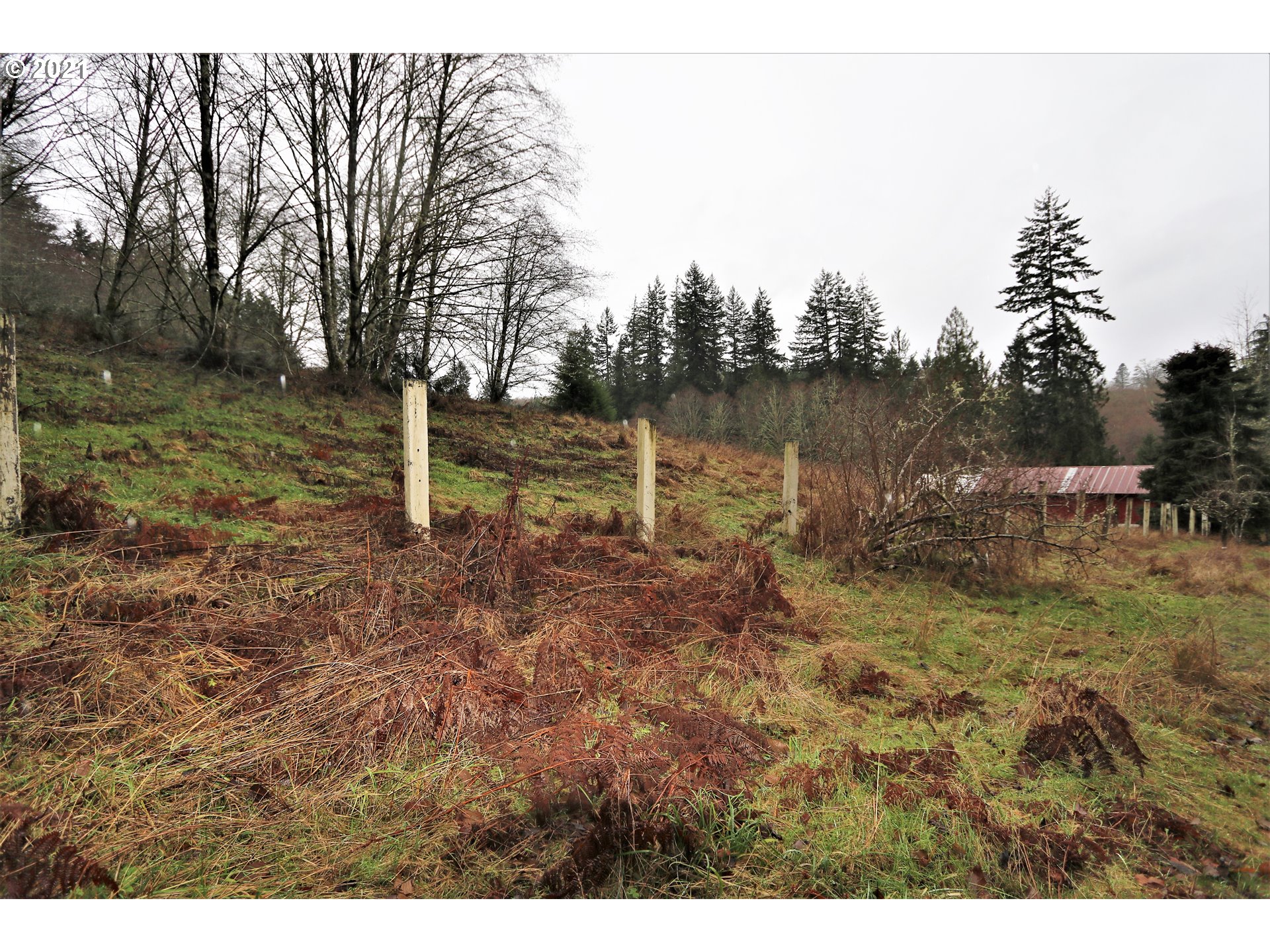 71925 Lentz Road Rainier, OR 97048 - Photo 20 of 29 Gallery Image 20