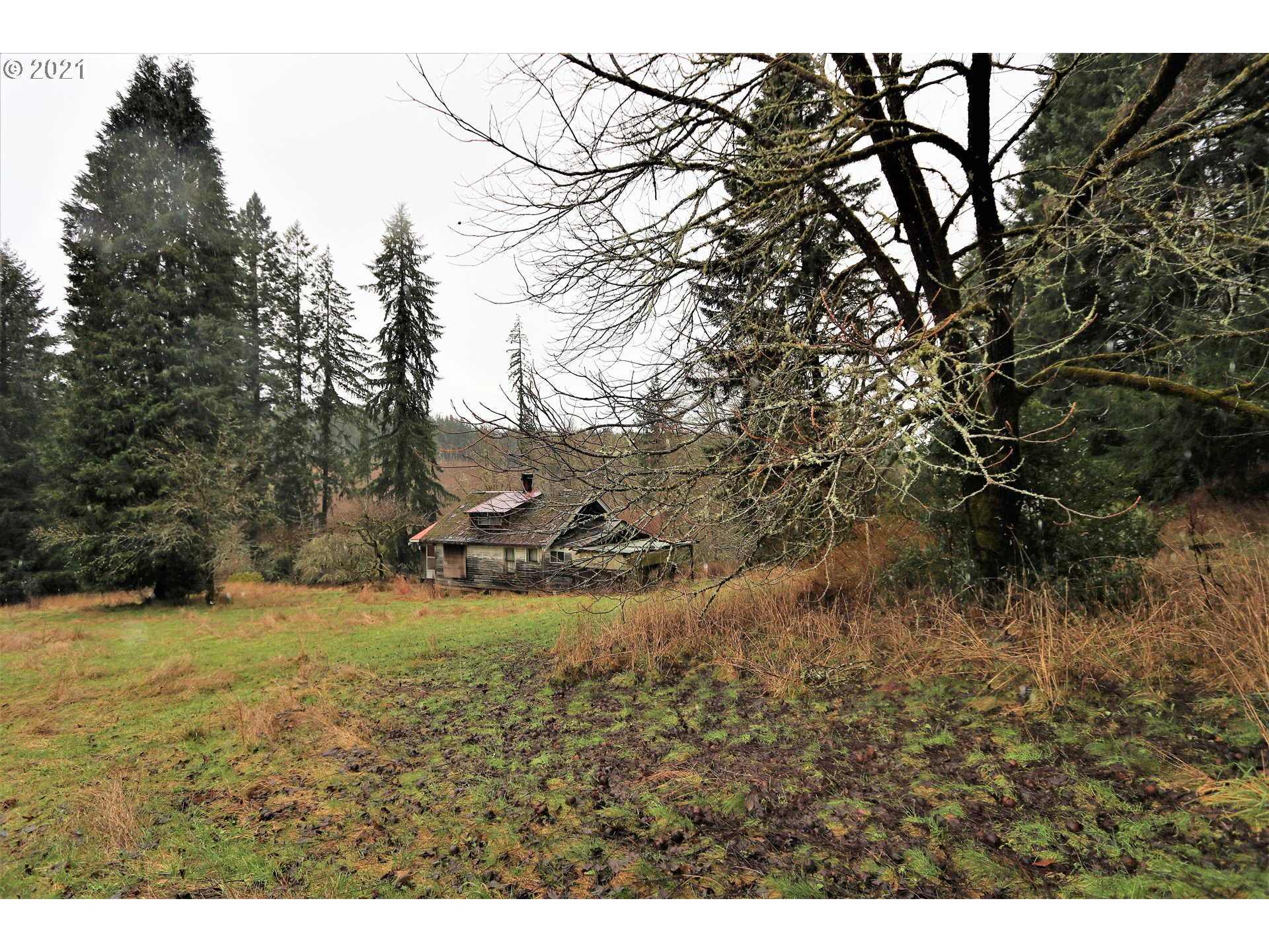 71925 Lentz Road Rainier, OR 97048 - Photo 3 of 29 Gallery Image 3