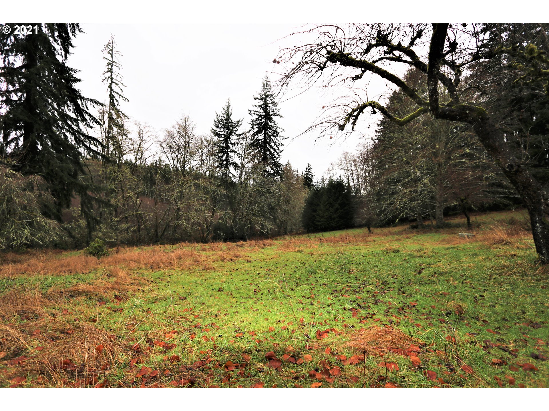 71925 Lentz Road Rainier, OR 97048 - Photo 22 of 29 Gallery Image 22